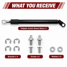 NINTE Rear Tailgate Assist Shock Strut Lift Support for 2024-2026 Toyota Tacoma - NINTE